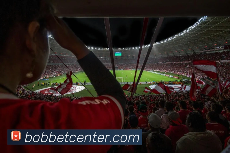 多媒体互动体验