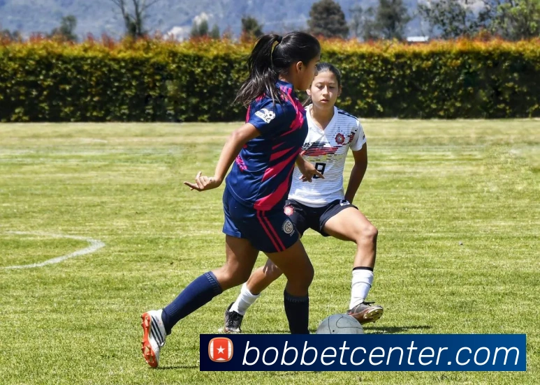 BOB体育APP 高清赛事图